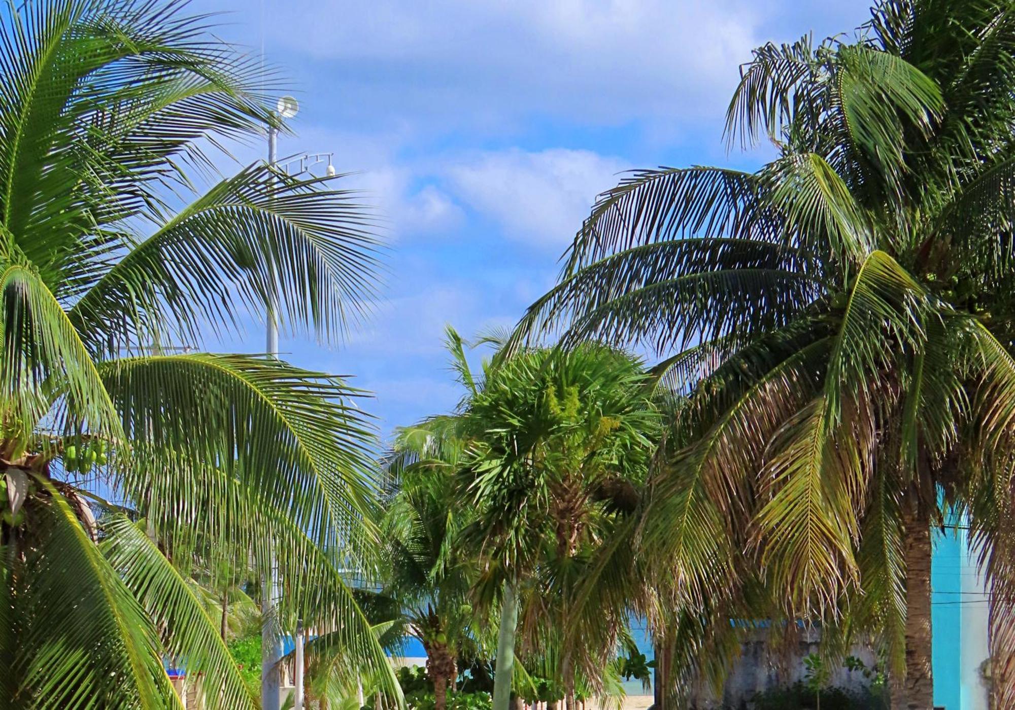 Studio Norte, Casa Brisamar Puerto Morelos Dış mekan fotoğraf